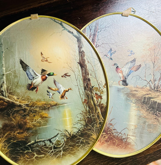Vintage Oval Duck Picture Set