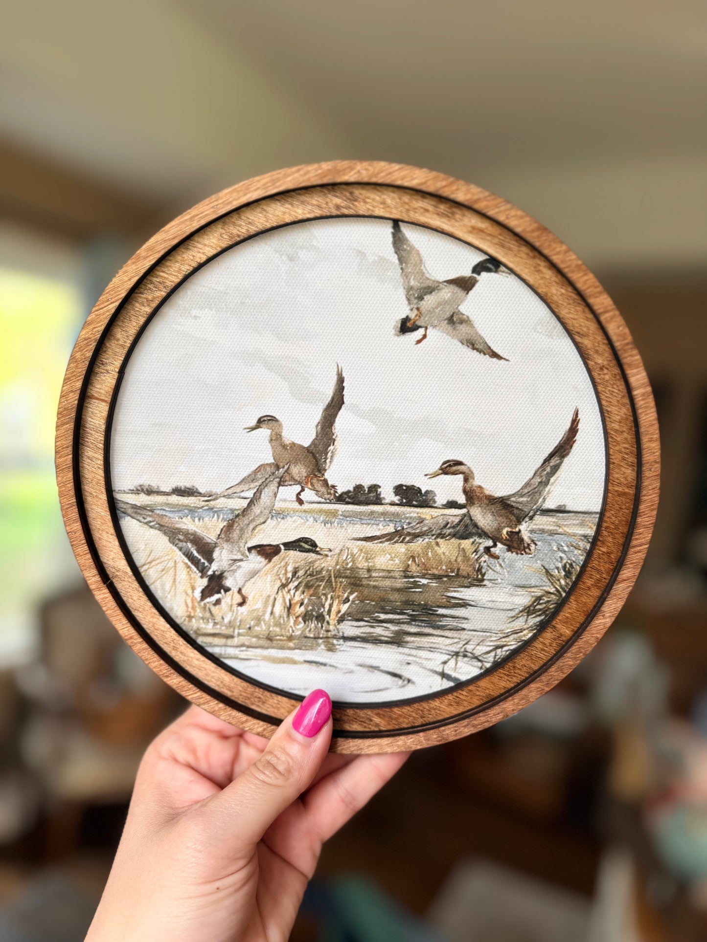 Sweet Little Duck Wooden Circle Frame