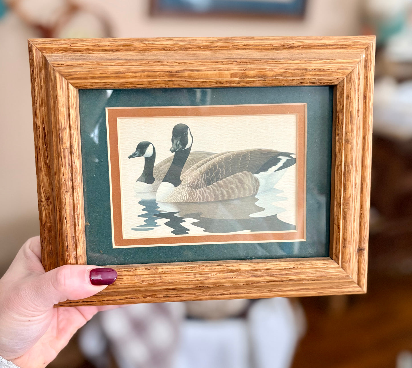 Small duck frame