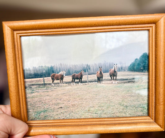 Western Grace Vintage Horse Frame